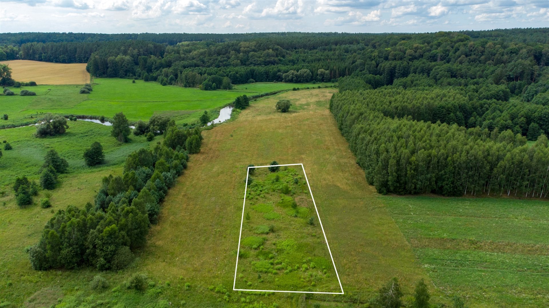 Zdjęcie 3