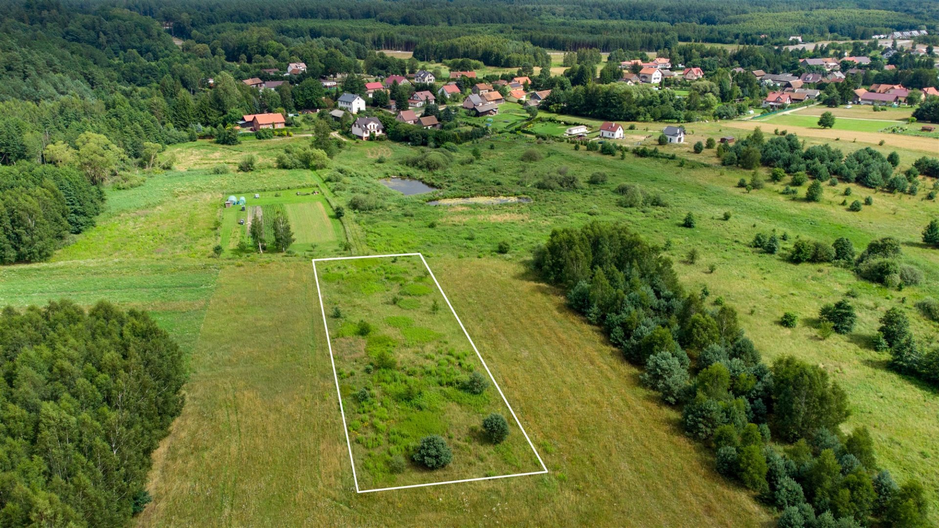 Zdjęcie 7