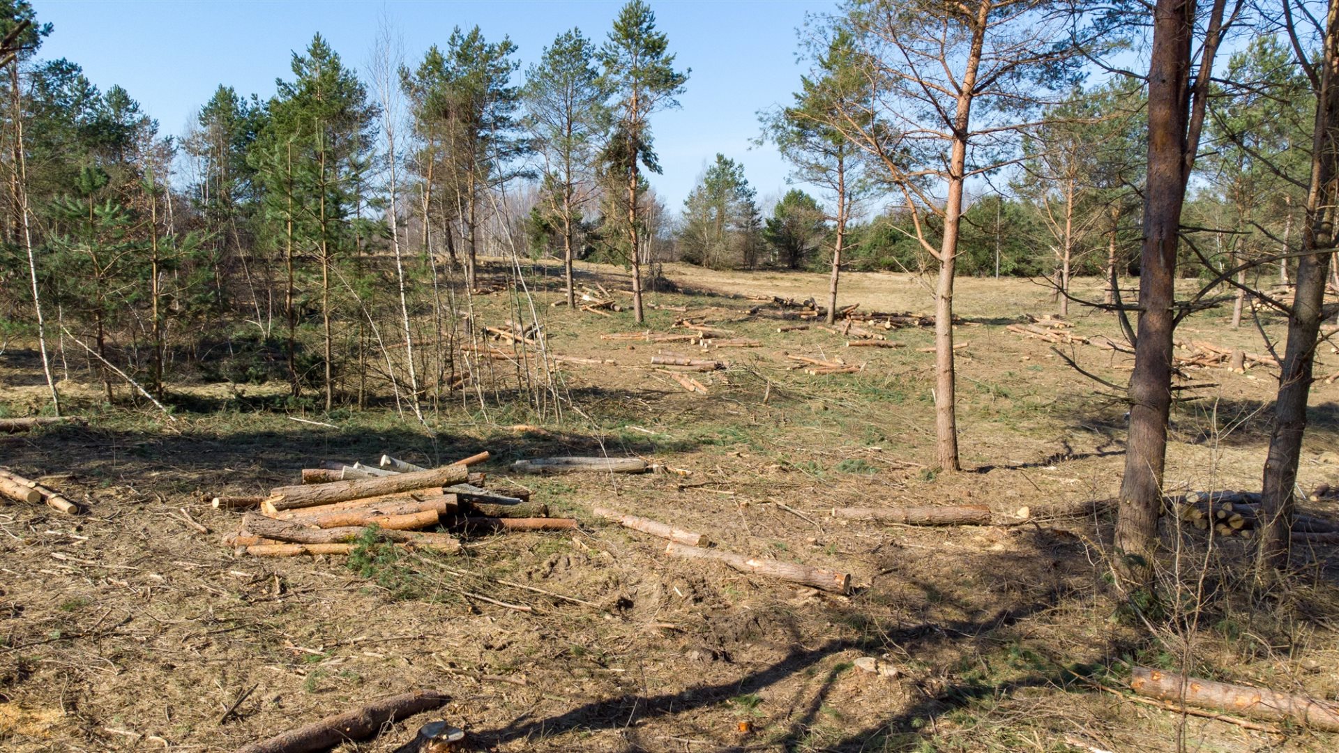 Zdjęcie 10