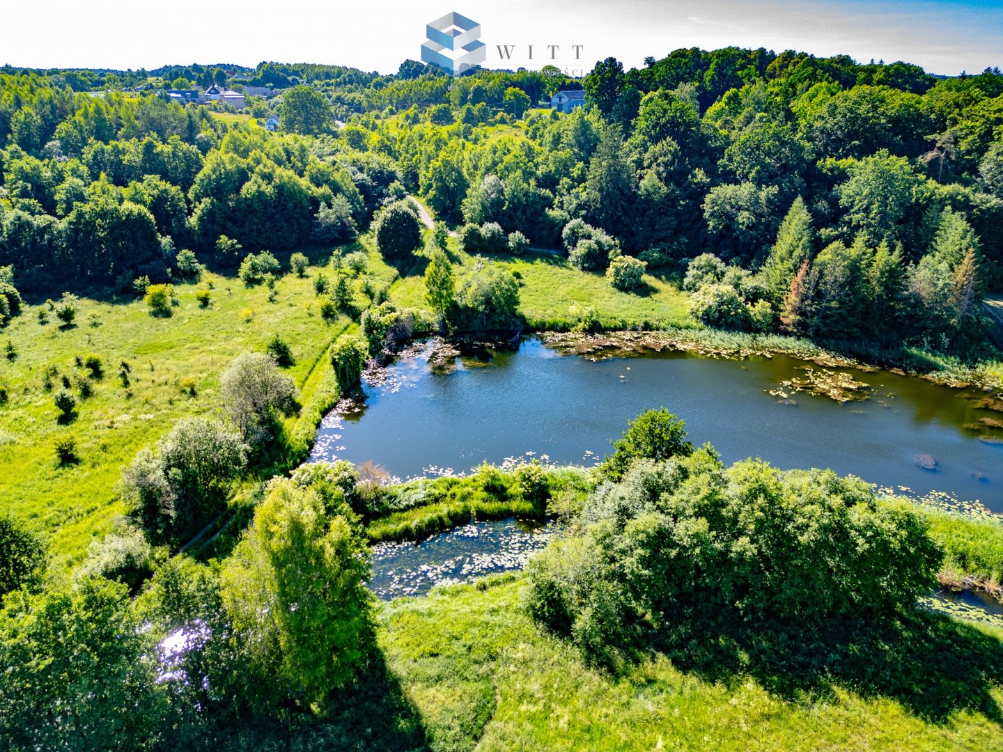 Zdjęcie 6
