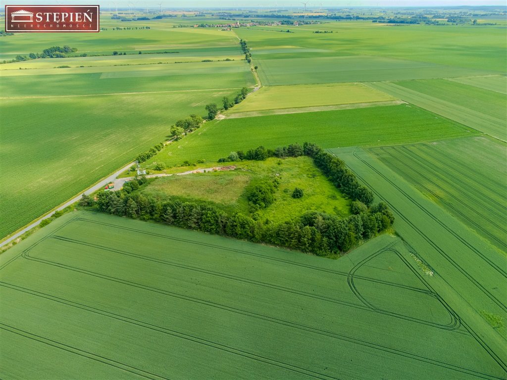 Zdjęcie 5
