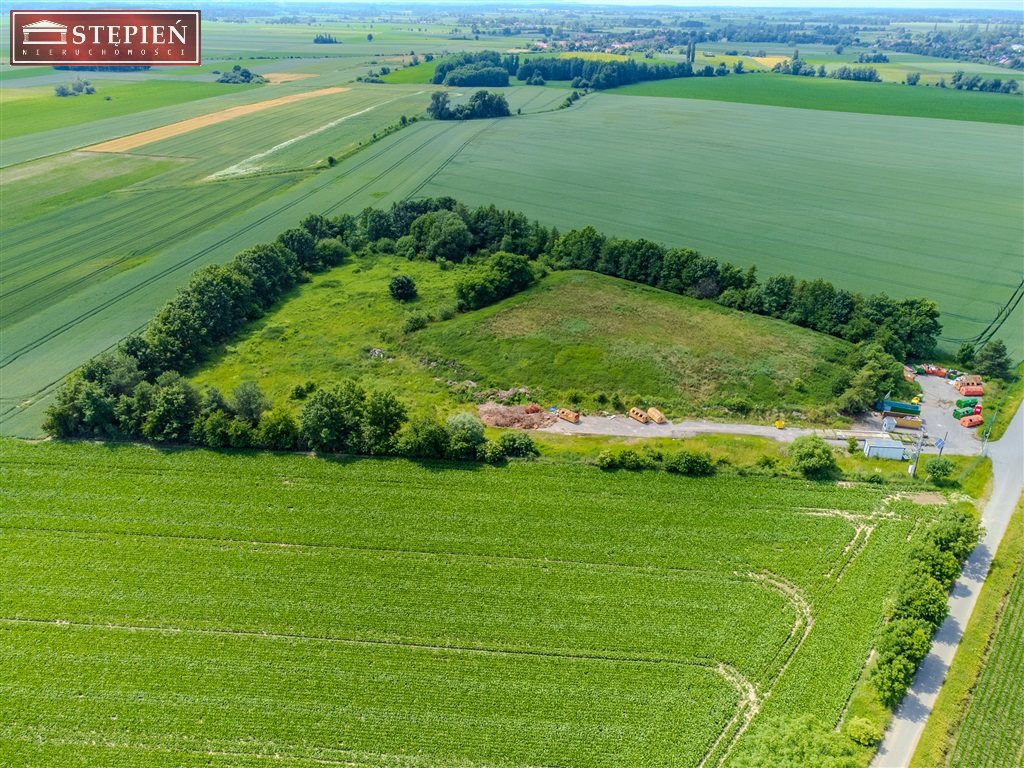 Zdjęcie 12