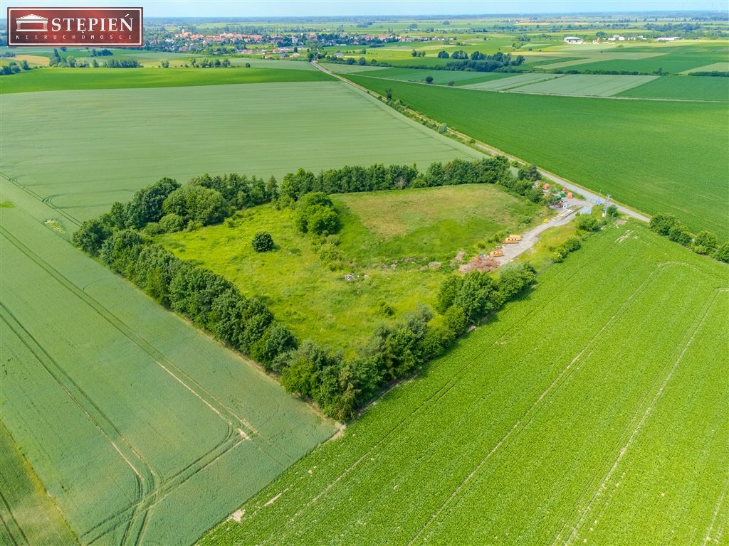 Zdjęcie 14