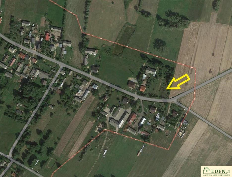 Zdjęcie 7