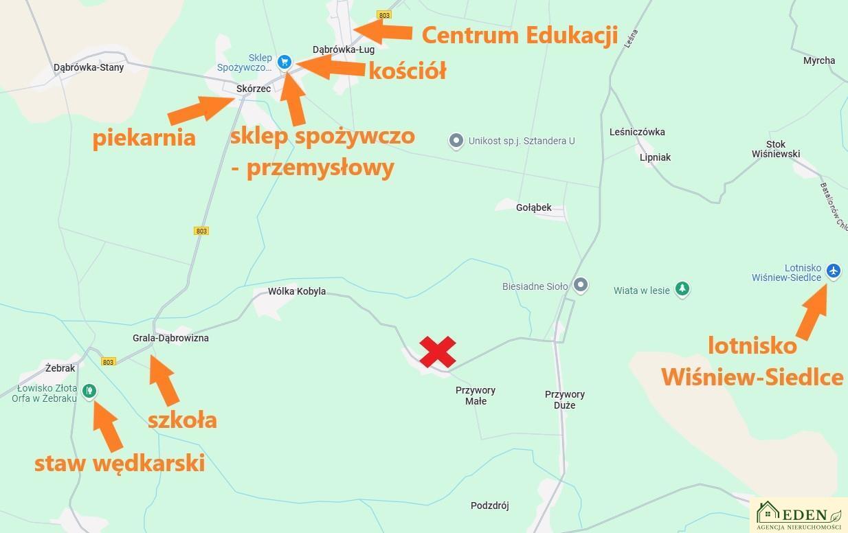 Zdjęcie 8