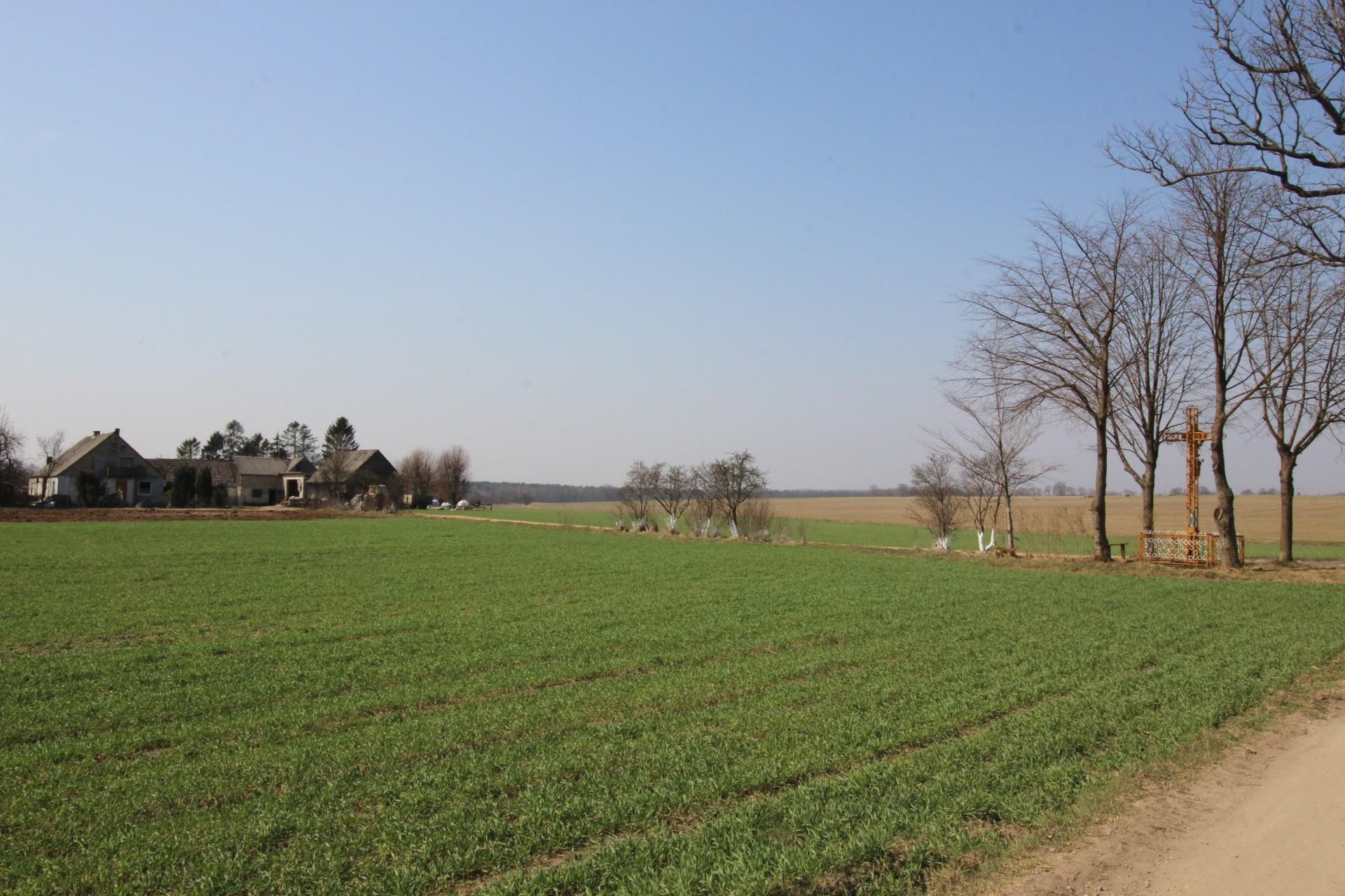 Zdjęcie 8