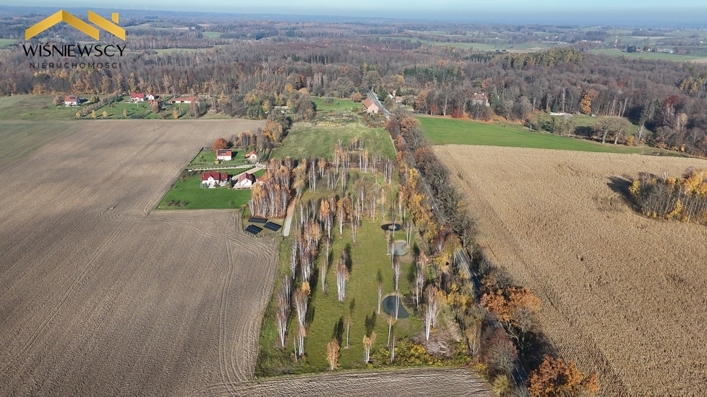 Zdjęcie 11