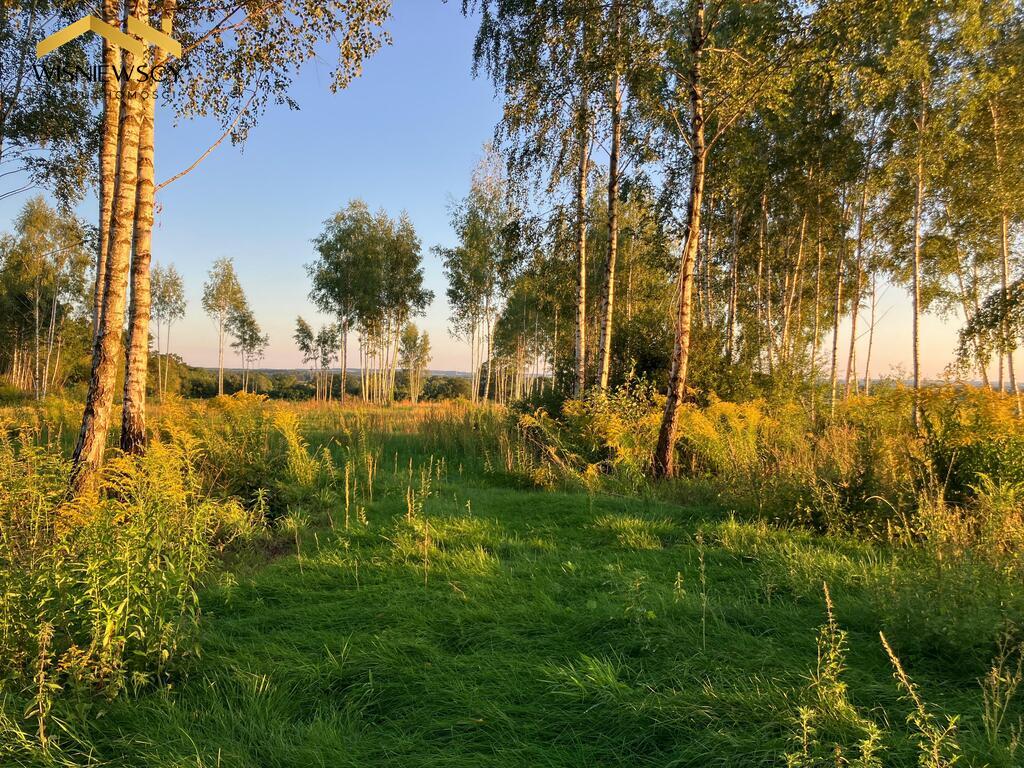 Zdjęcie 16