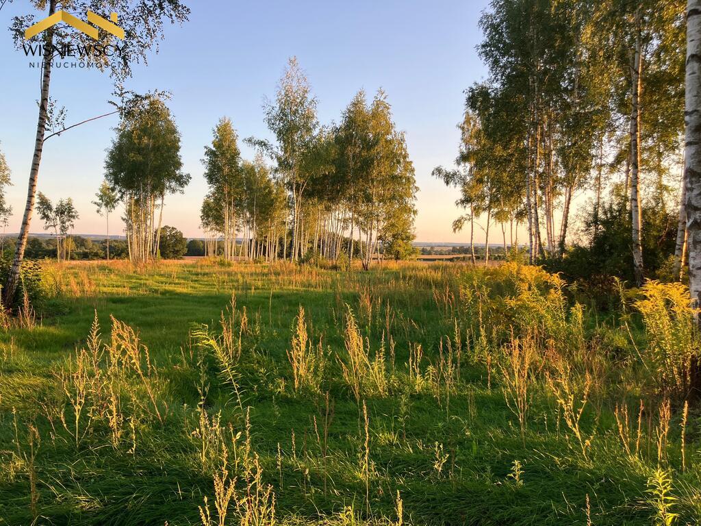 Zdjęcie 17