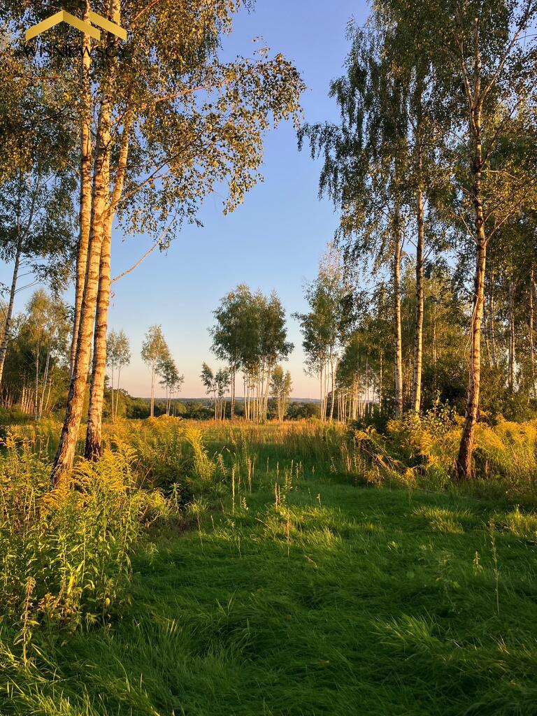 Zdjęcie 18