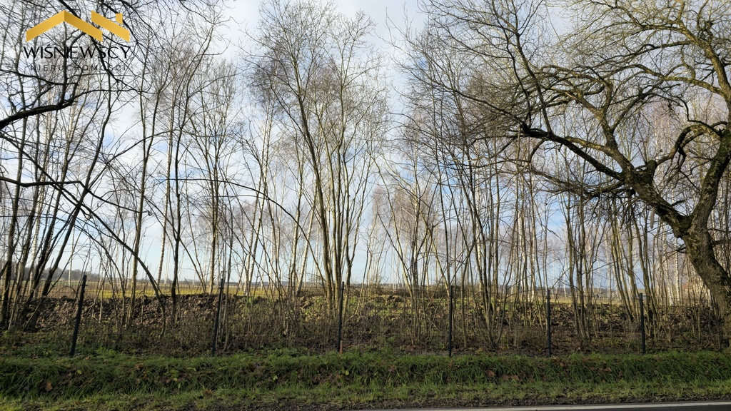 Zdjęcie 20