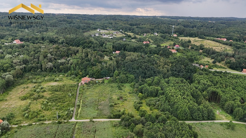 Zdjęcie 7