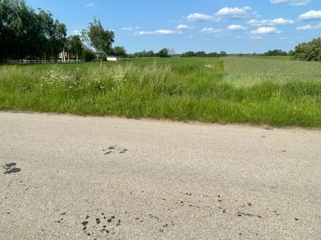 Zdjęcie 3