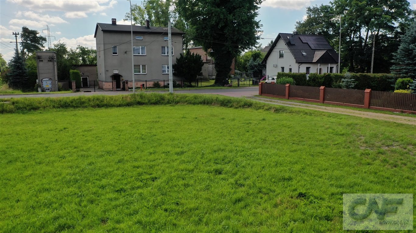 Zdjęcie 6