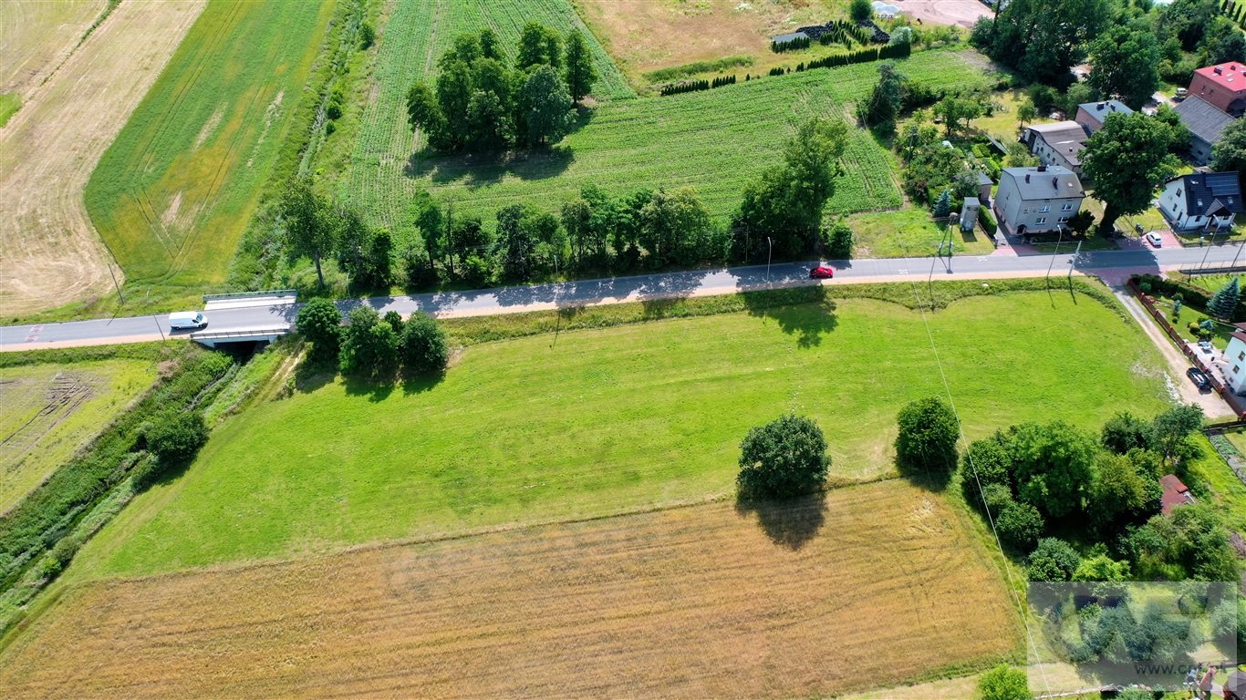 Zdjęcie 9