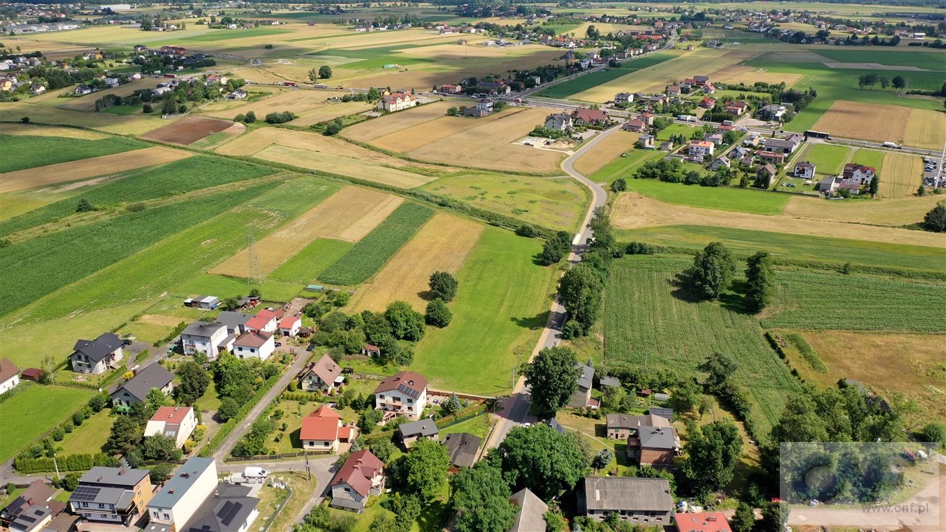 Zdjęcie 10