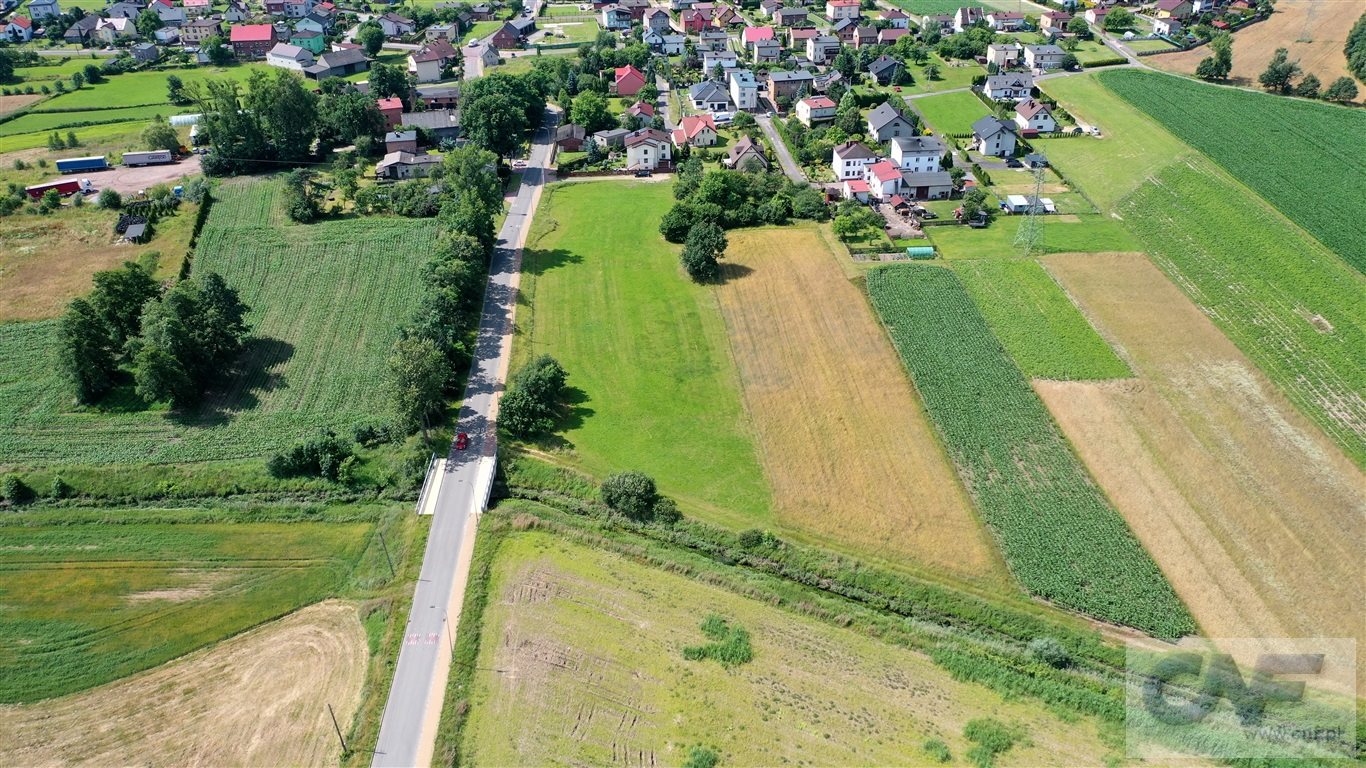 Zdjęcie 11