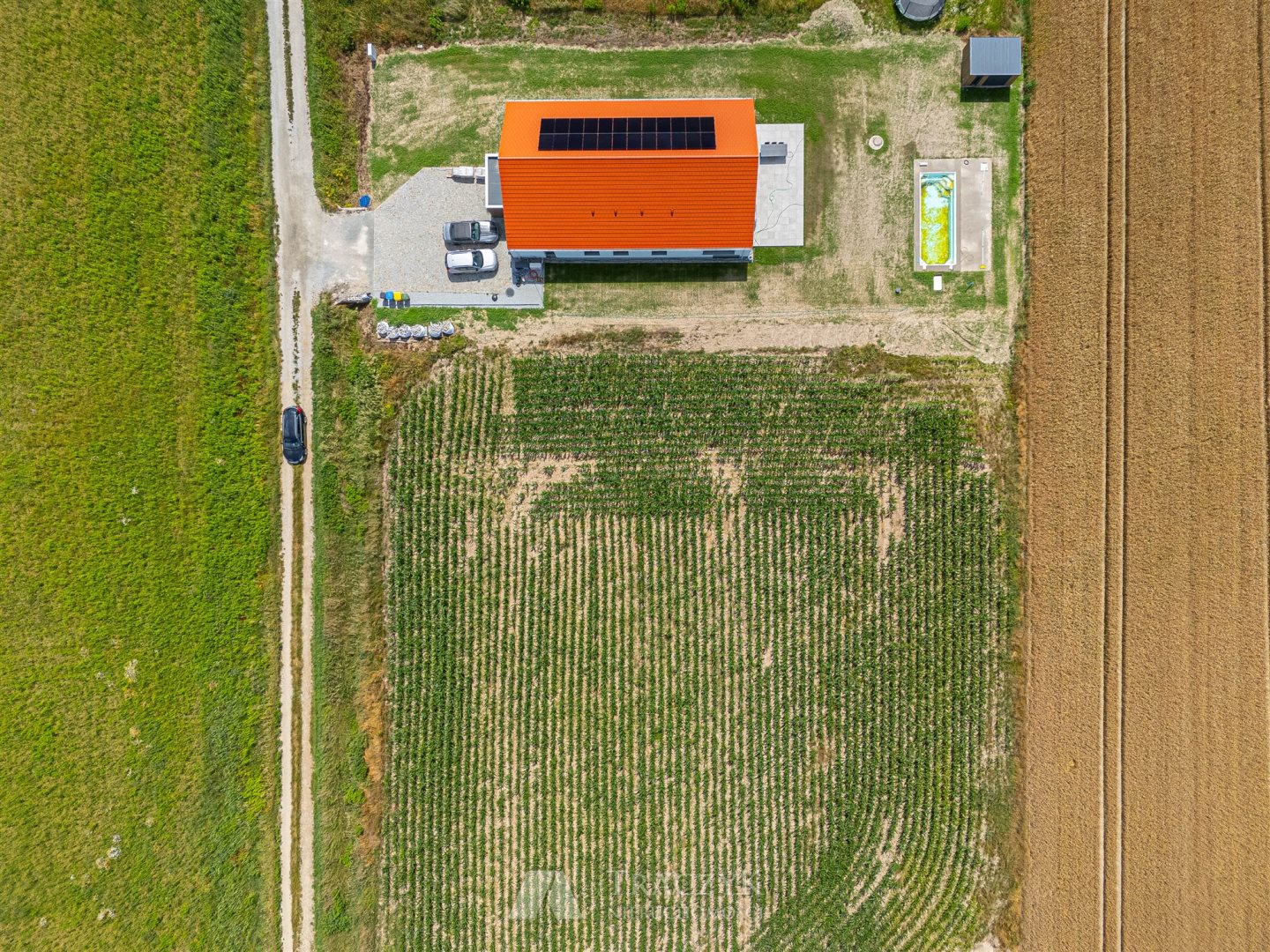 Zdjęcie 10