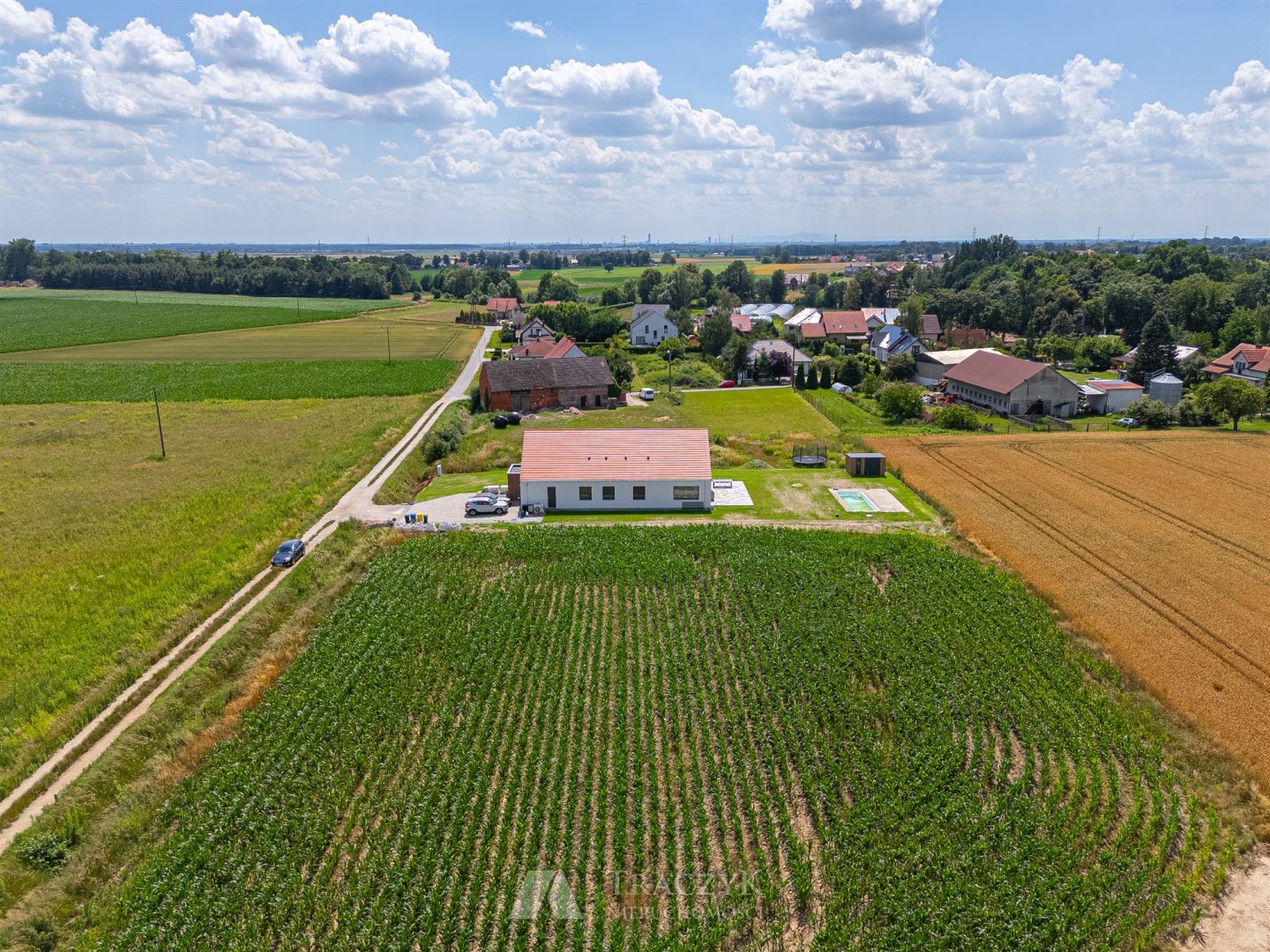 Zdjęcie 11