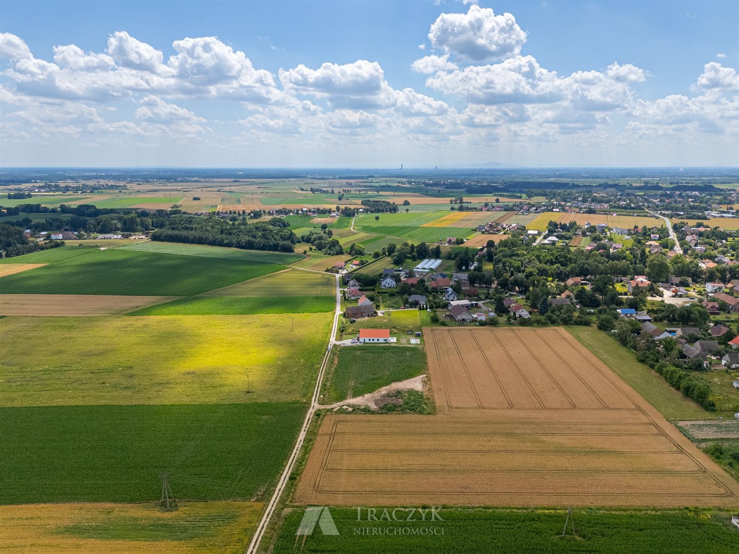 Zdjęcie 12