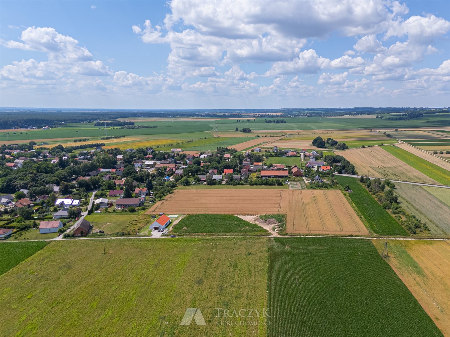 Zdjęcie 14