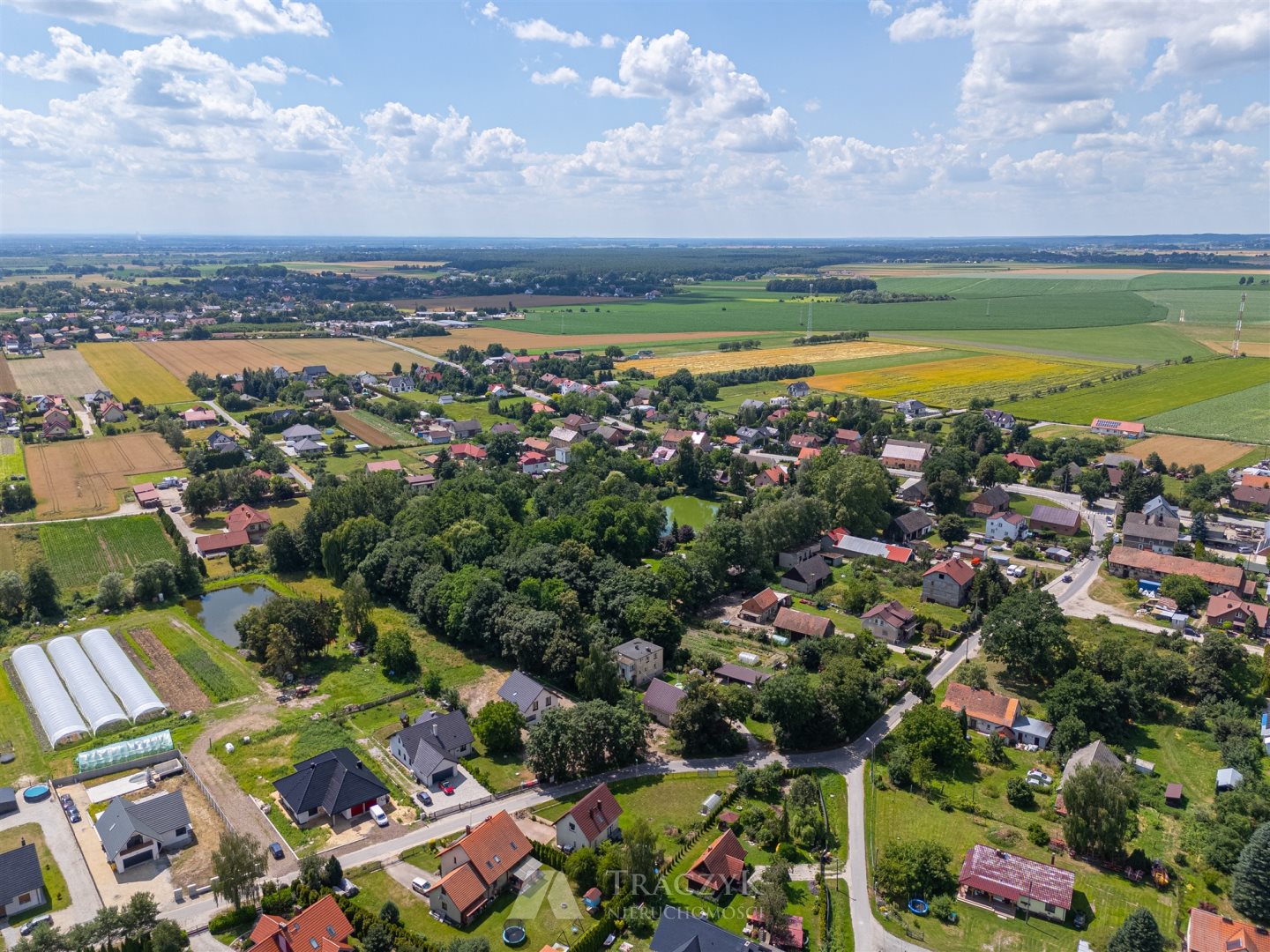 Zdjęcie 15