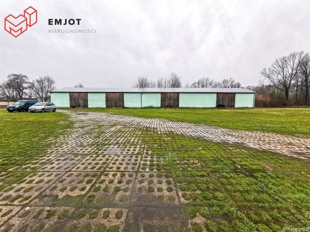 Zdjęcie 17