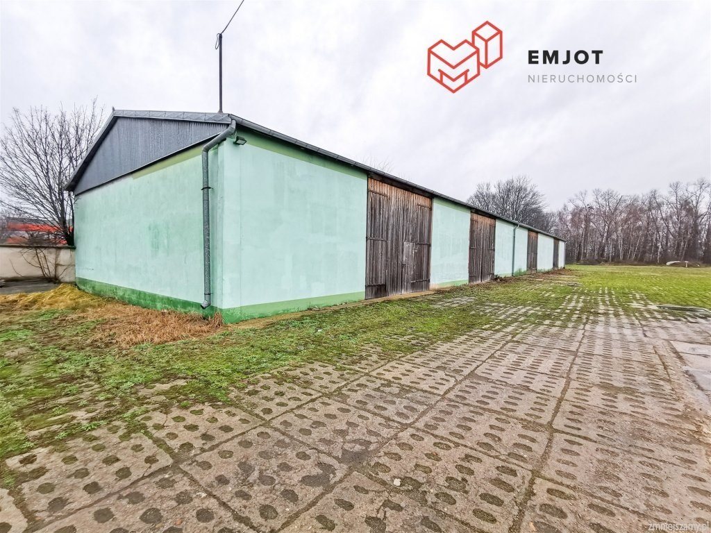 Zdjęcie 20