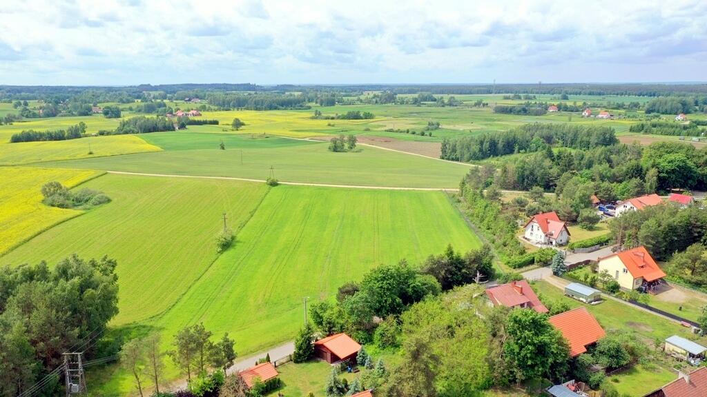 Zdjęcie 12