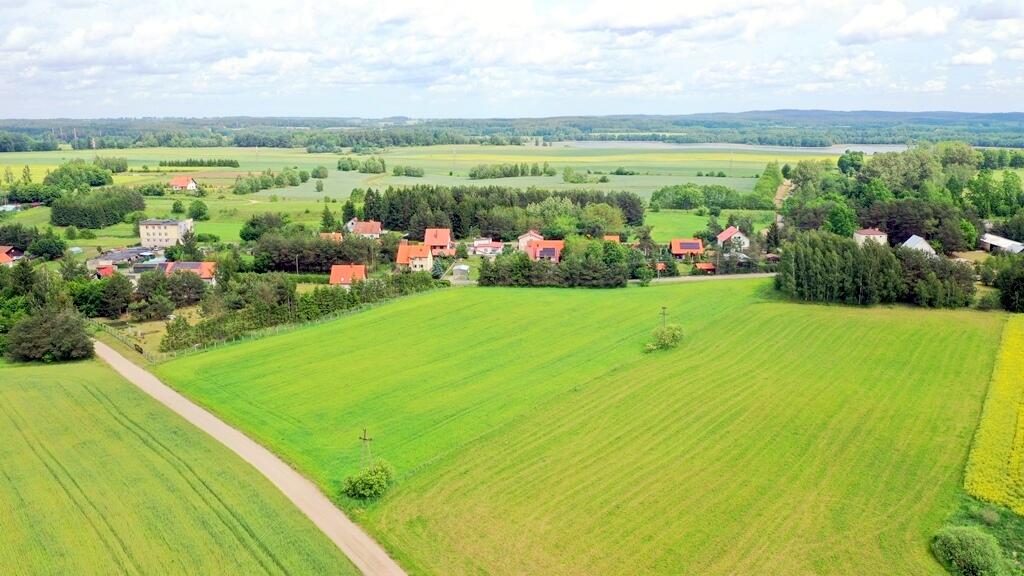 Zdjęcie 14