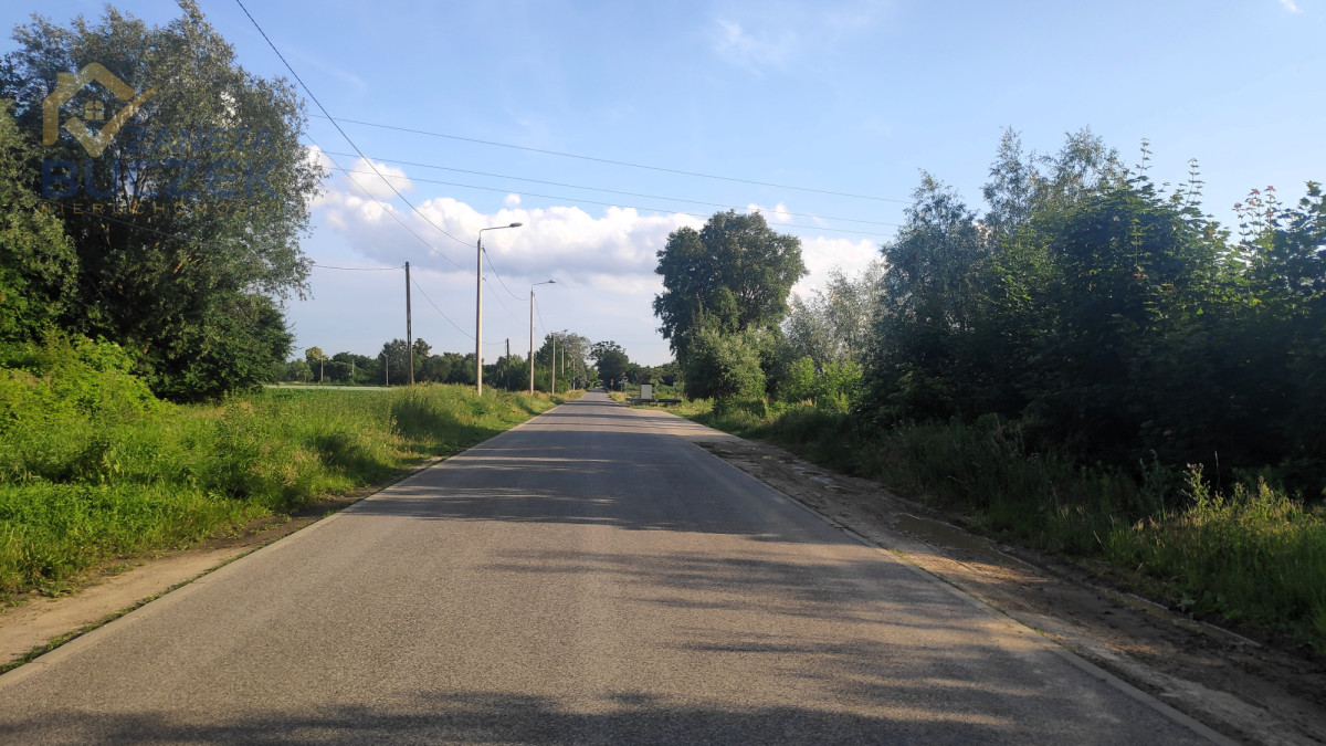 Zdjęcie 6