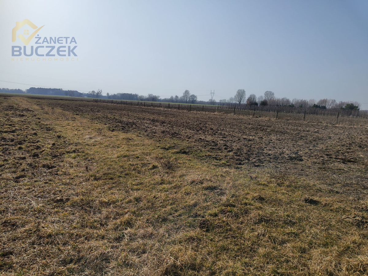 Zdjęcie 4