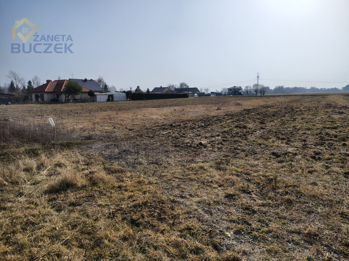 Zdjęcie 5