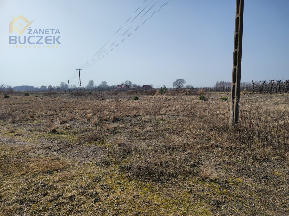 Zdjęcie 6