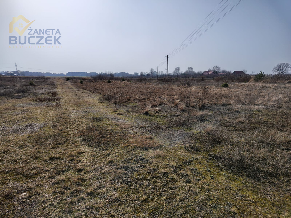 Zdjęcie 7