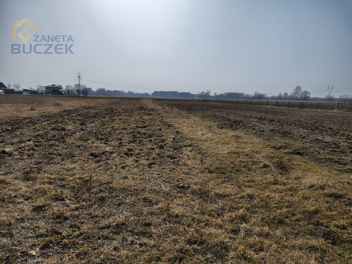 Zdjęcie 8