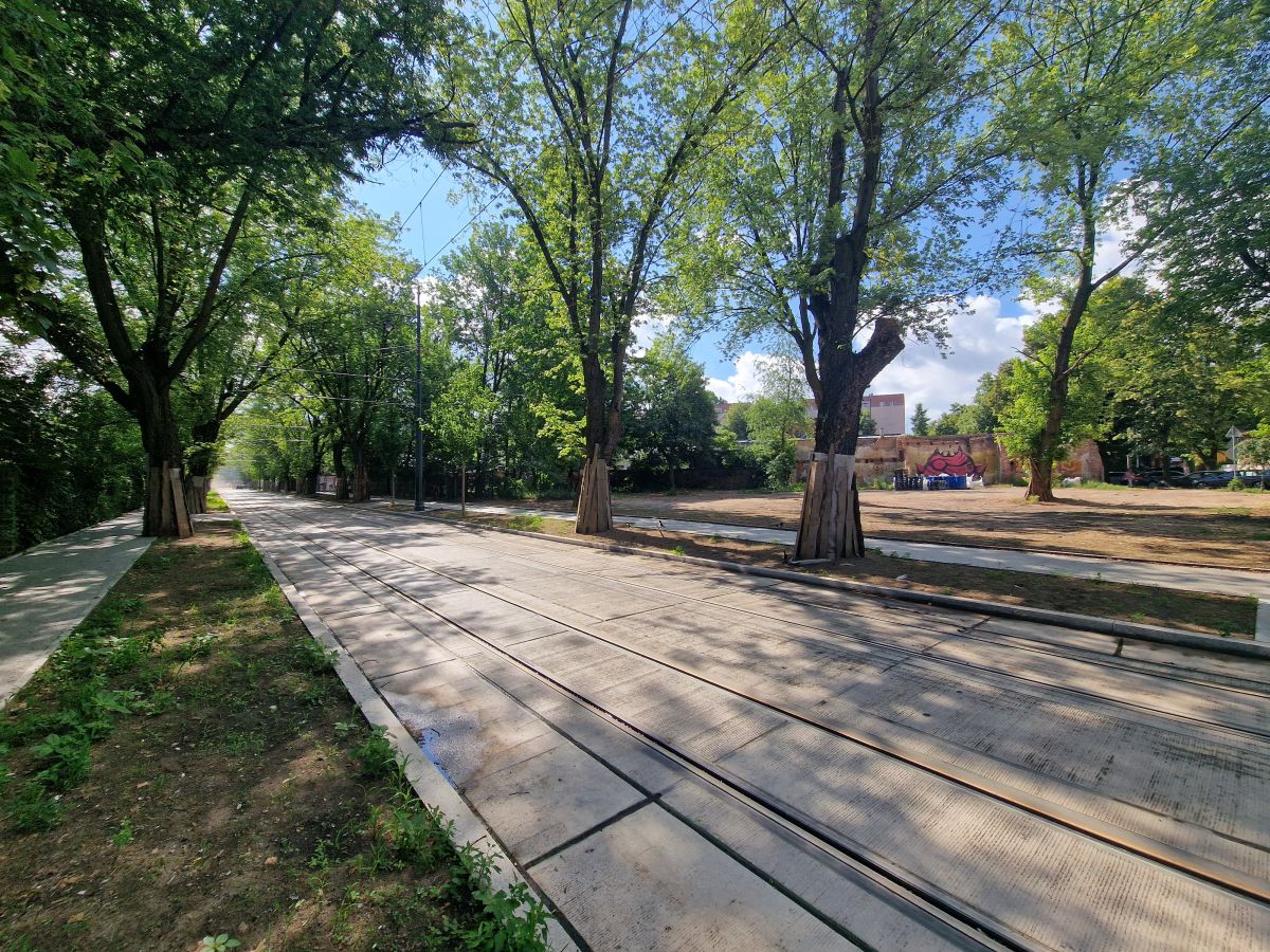 Zdjęcie 11