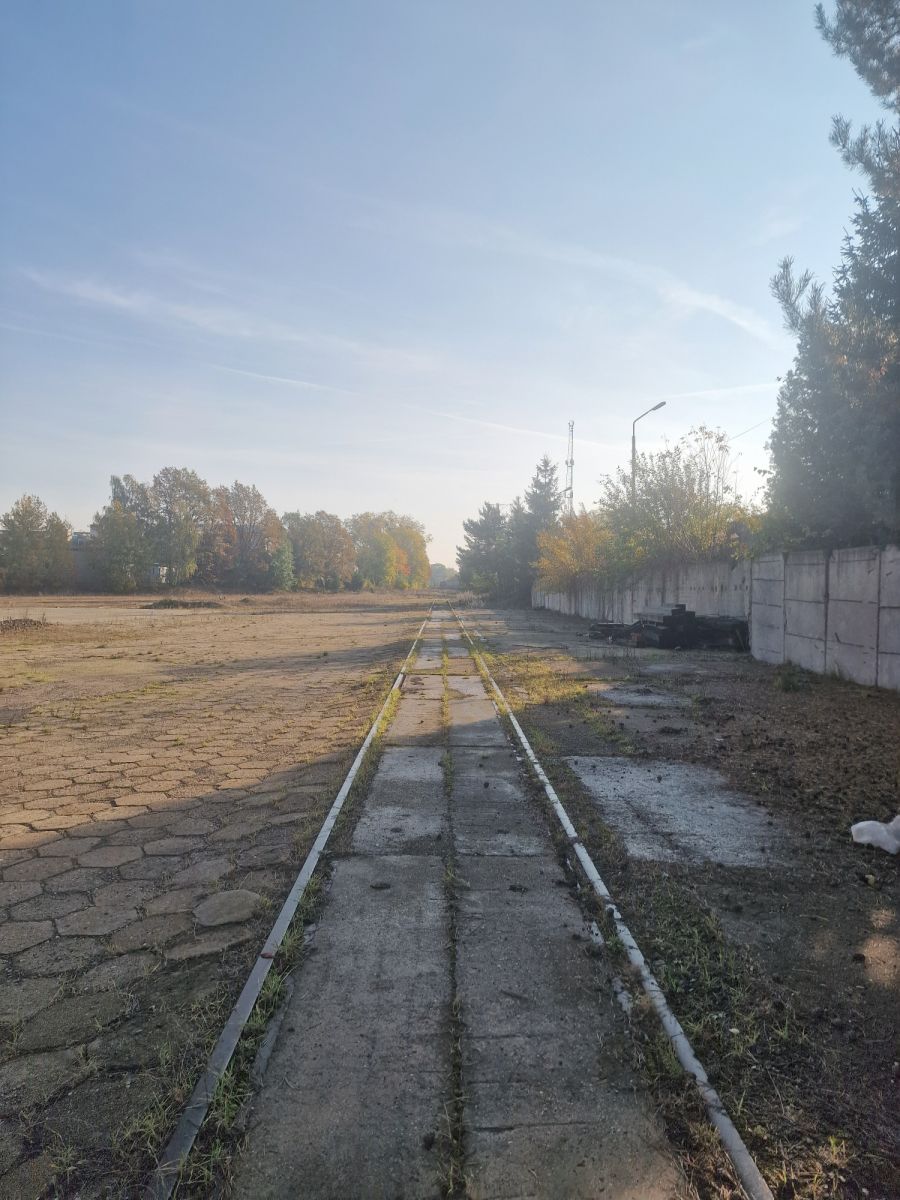Zdjęcie 10
