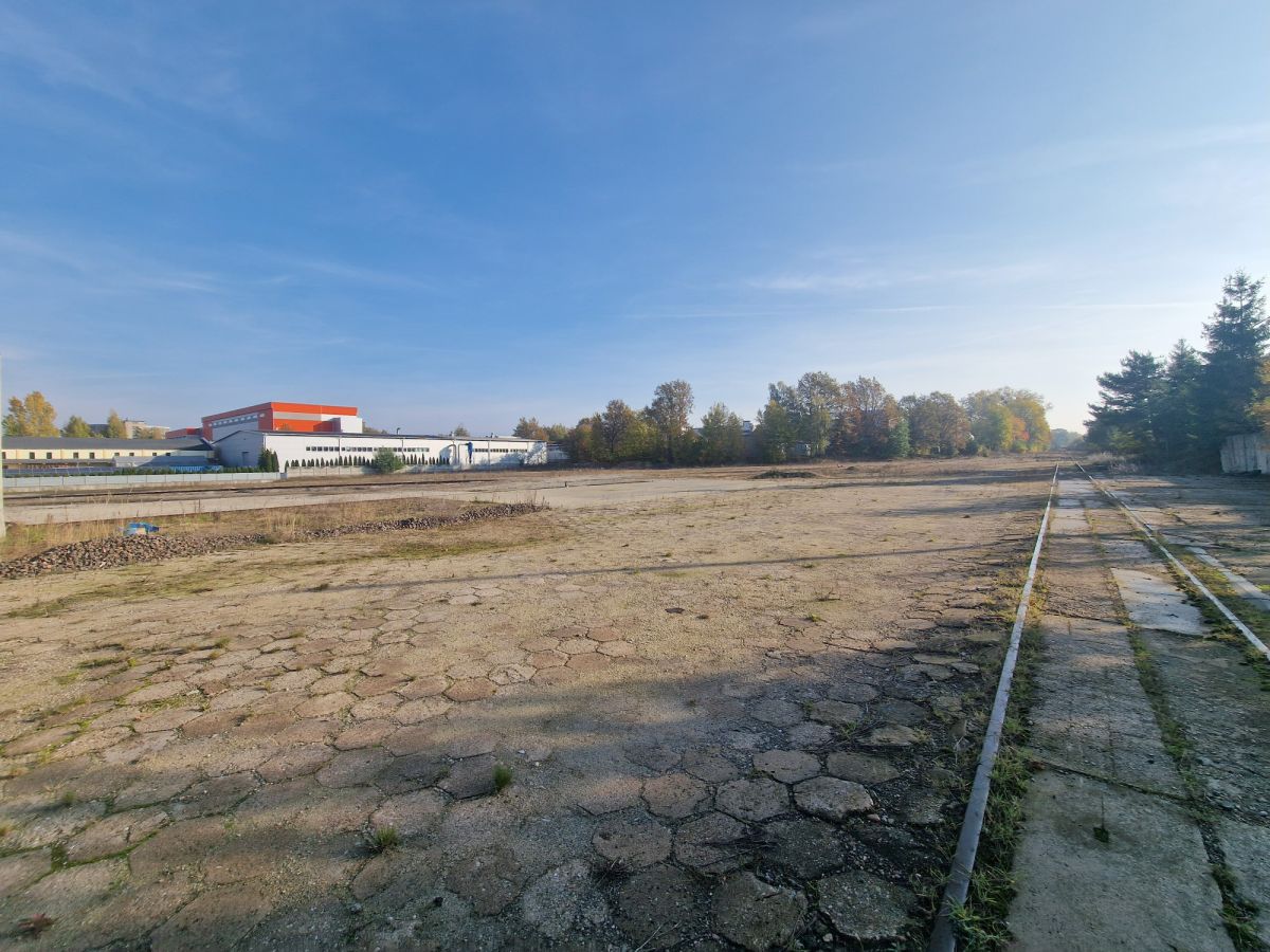 Zdjęcie 12