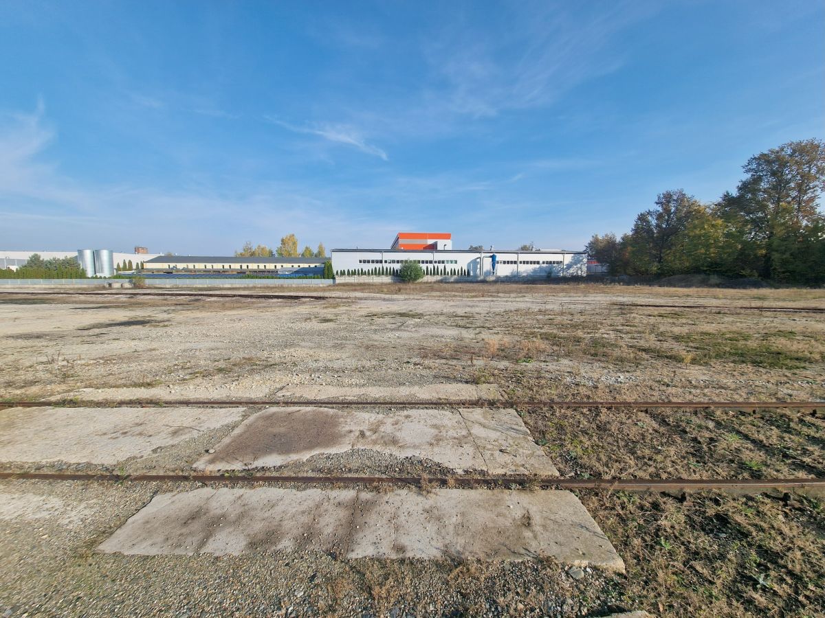 Zdjęcie 14