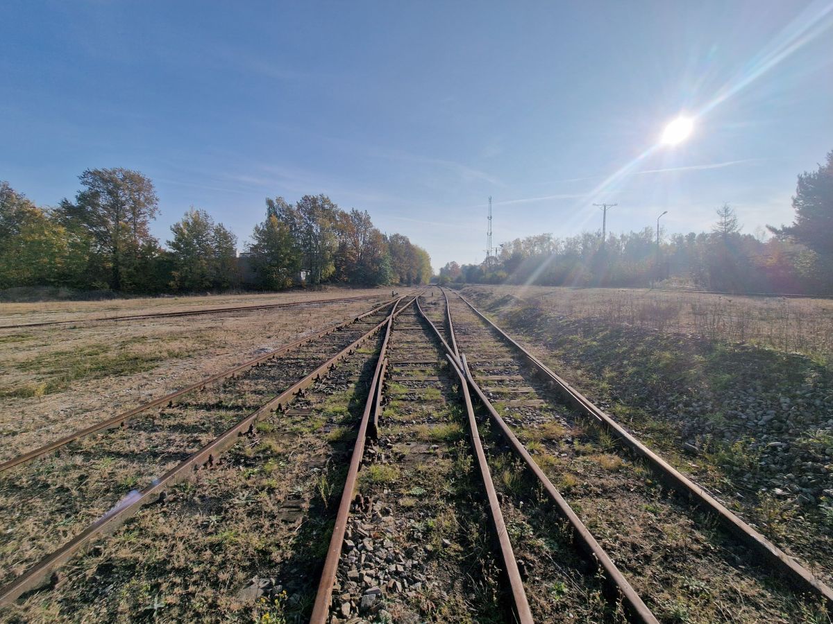 Zdjęcie 15
