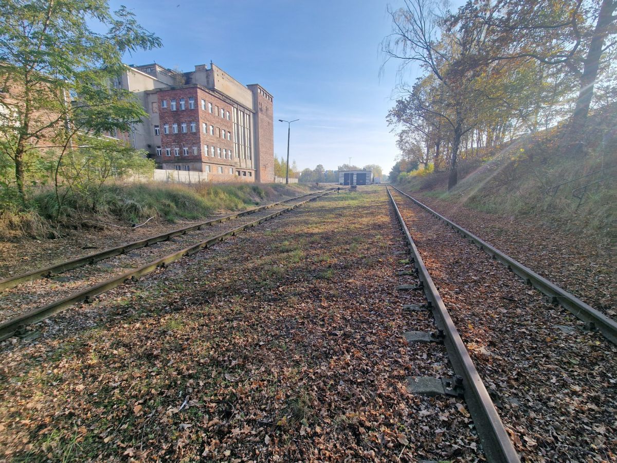 Zdjęcie 19