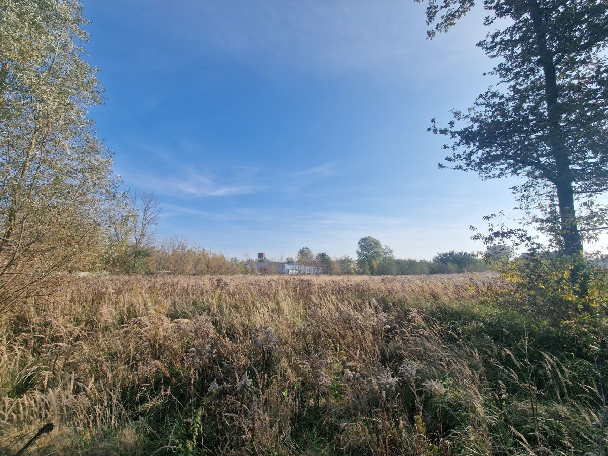 Zdjęcie 20