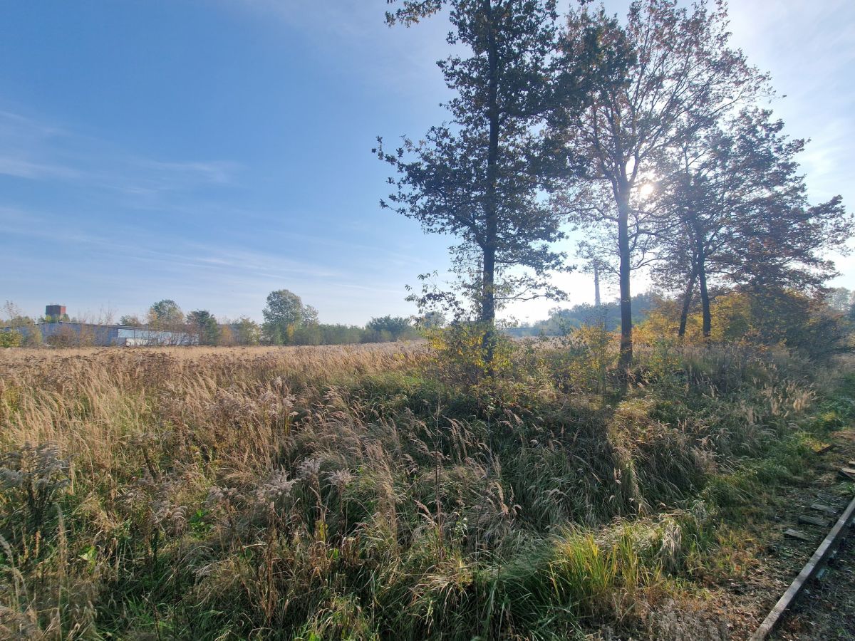 Zdjęcie 21