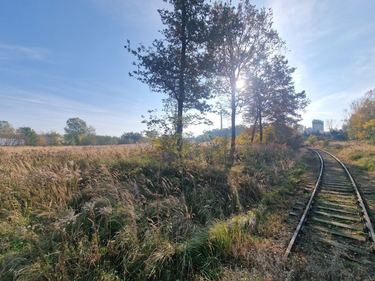 Zdjęcie 22