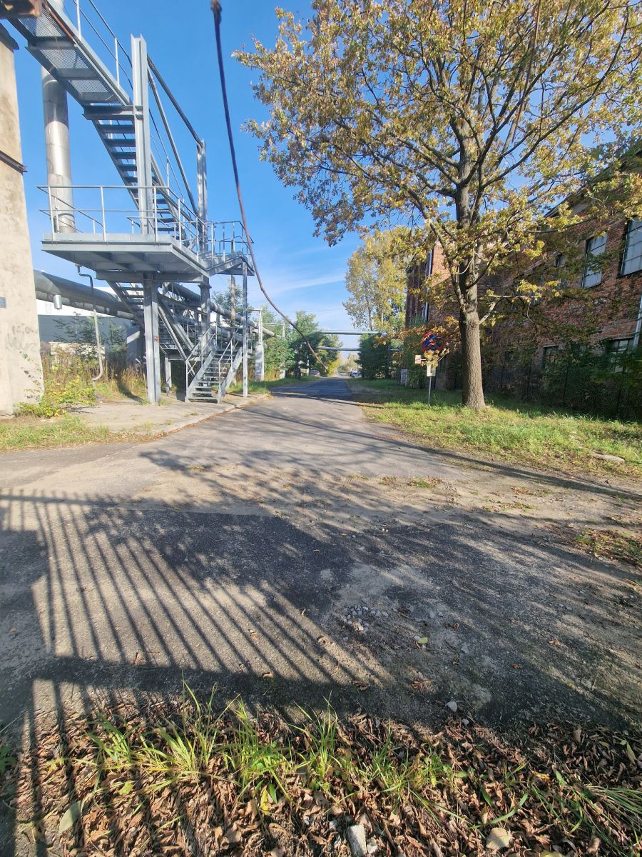 Zdjęcie 27