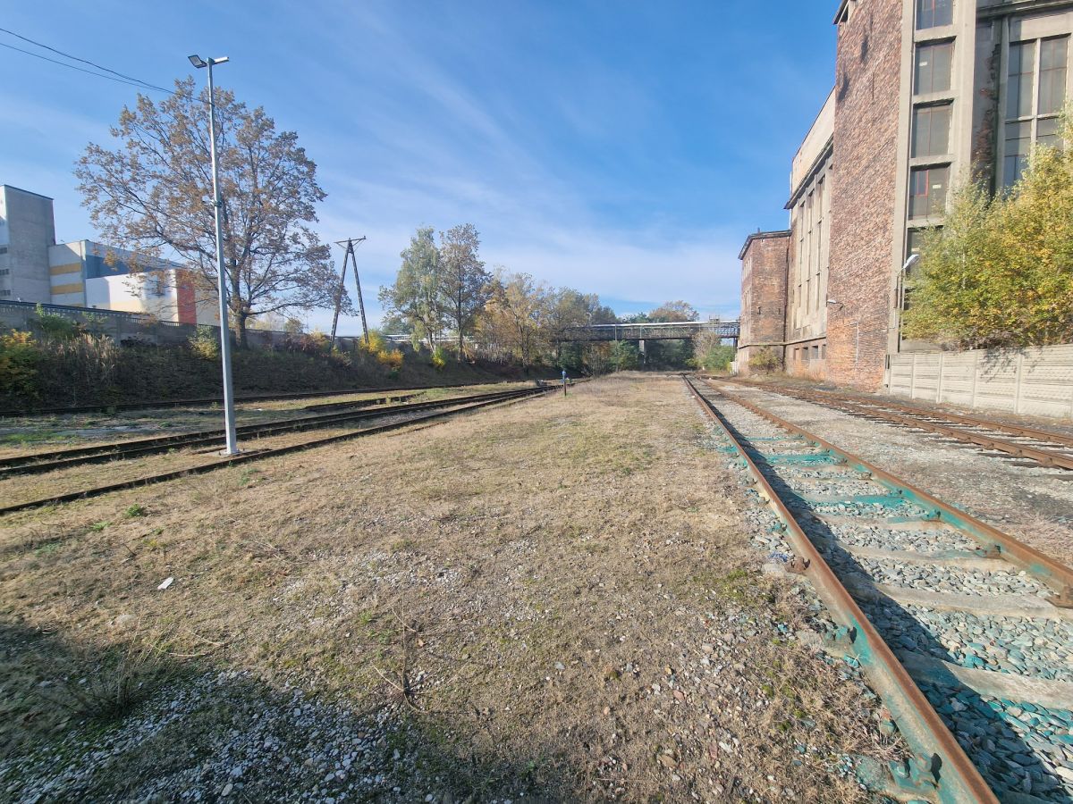 Zdjęcie 29