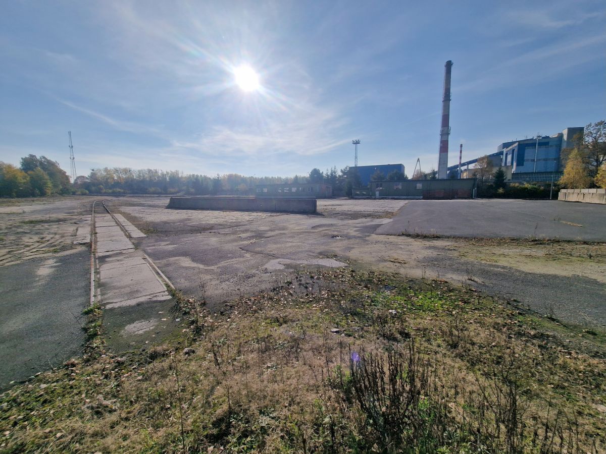 Zdjęcie 30