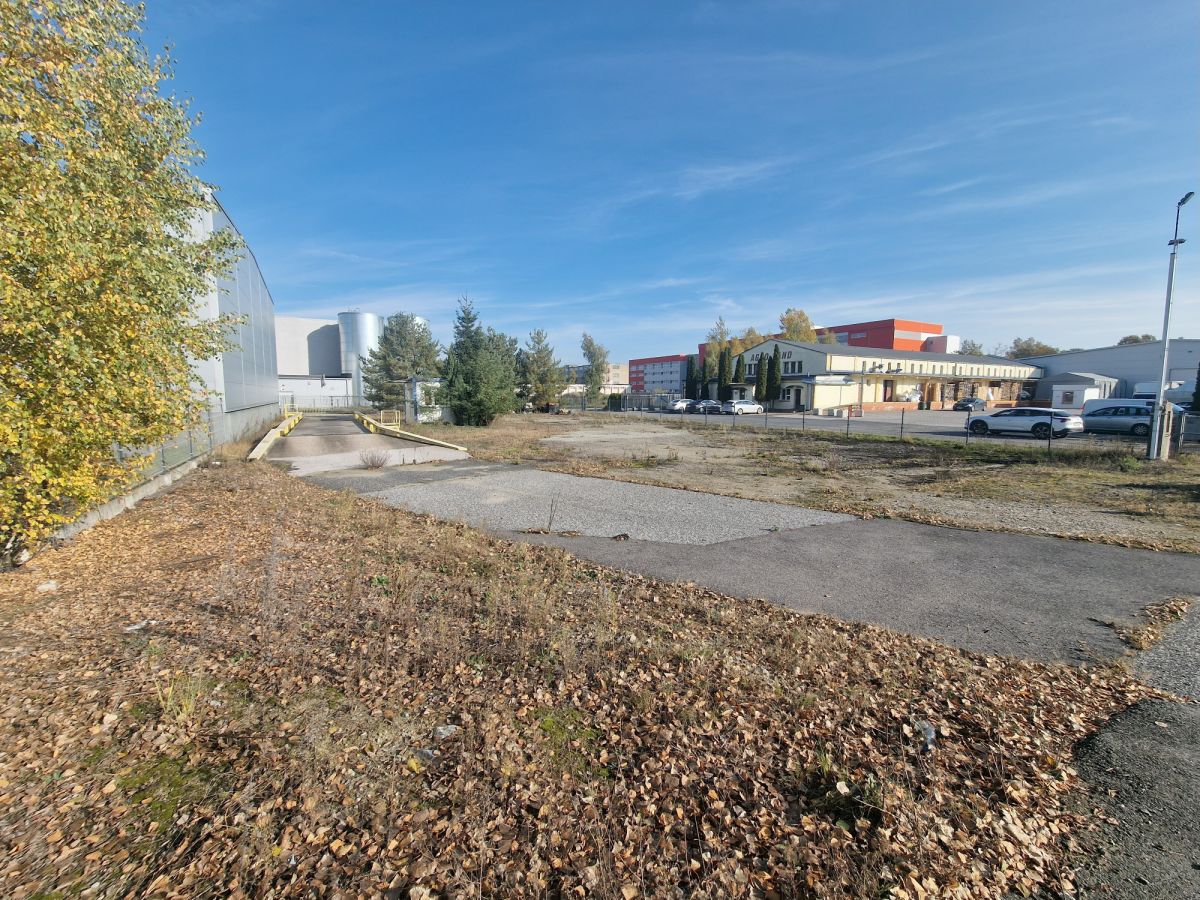 Zdjęcie 35