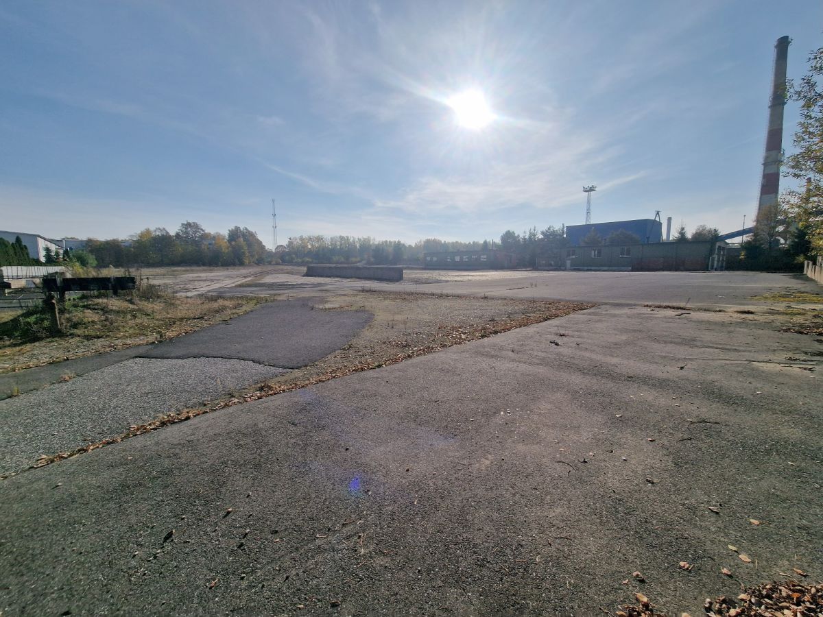 Zdjęcie 36